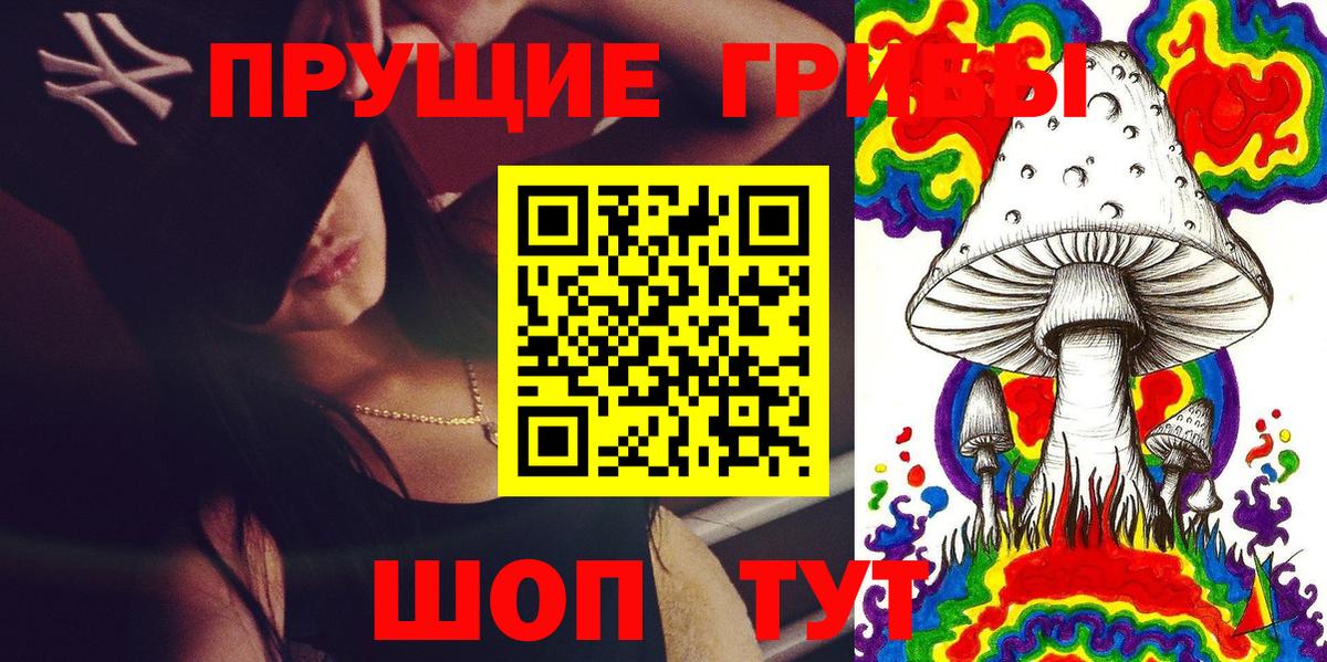 Псилоцибиновые грибы Psilocybe Заречный